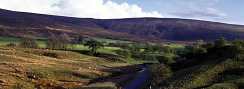 Wyresdale, Forest of Bowland
