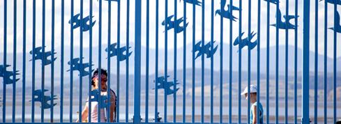 'Bird Fence' Tern Project, Morecambe