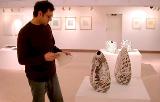 Thumbnail for Peter Scott Gallery