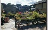 Thumbnail for Barn Plant Centre and Gift Shop