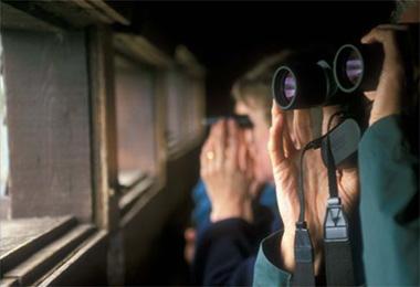 Birdwatching, Lancaster and District
