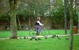 Thumbnail for Cycling in Lancaster – Bike Hire and Cycling Routes