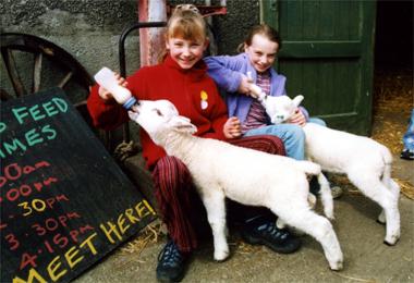 Docker Park Farm Visitor Centre