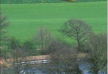 Forrest Hills Golf and Fly Fishery