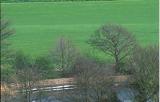 Thumbnail for Forrest Hills Golf and Fly Fishery