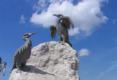 The TERN Project