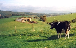Brades Farm