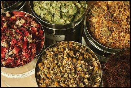 Various Herbs